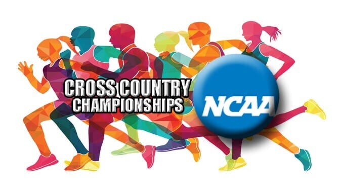 Cross Country Championships NCAA Cross Country