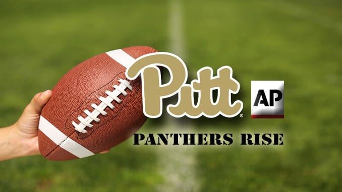 Panthers